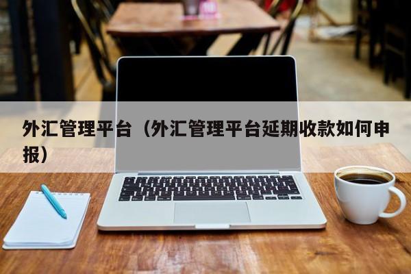 外汇管理平台（外汇管理平台延期收款如何申报）