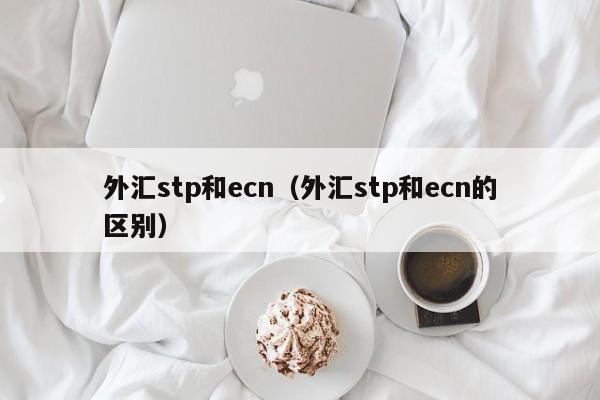 外汇stp和ecn（外汇stp和ecn的区别）