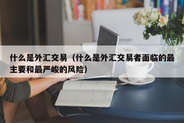 什么是外汇交易（什么是外汇交易者面临的最主要和最严峻的风险）
