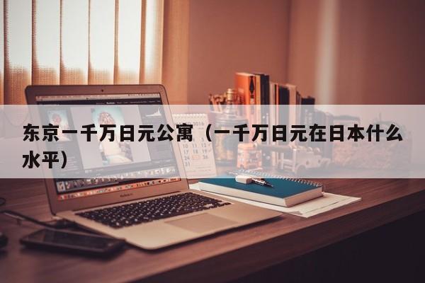 东京一千万日元公寓（一千万日元在日本什么水平）