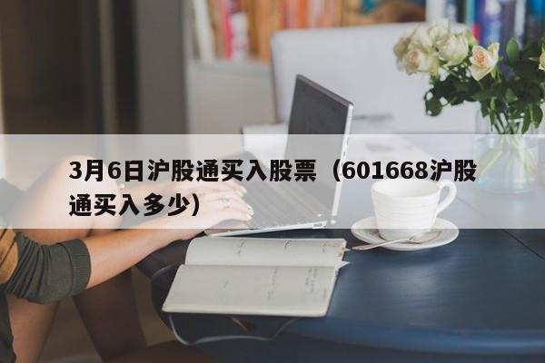 3月6日沪股通买入股票（601668沪股通买入多少）