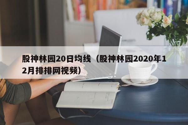 股神林园20日均线（股神林园2020年12月排排网视频）