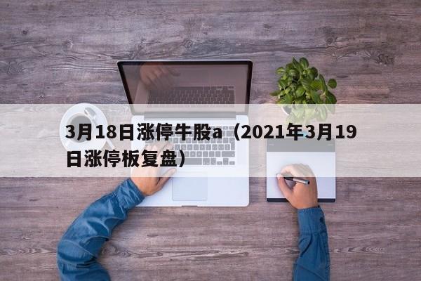 3月18日涨停牛股a（2021年3月19日涨停板复盘）