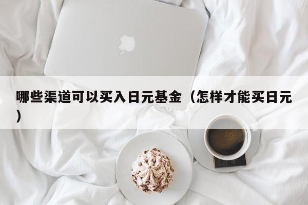 哪些渠道可以买入日元基金（怎样才能买日元）
