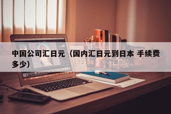 中国公司汇日元（国内汇日元到日本 手续费多少）