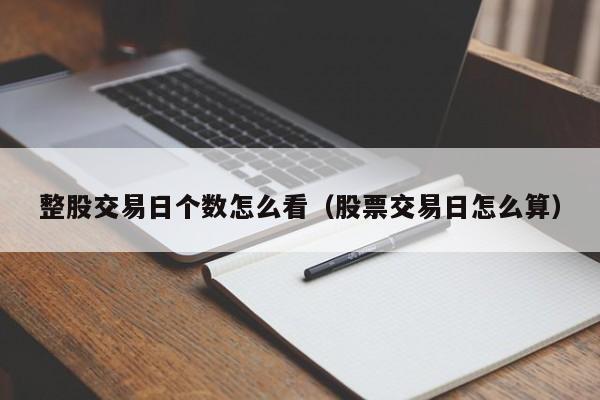 整股交易日个数怎么看（股票交易日怎么算）