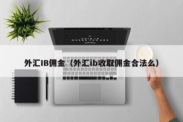 外汇IB佣金（外汇ib收取佣金合法么）