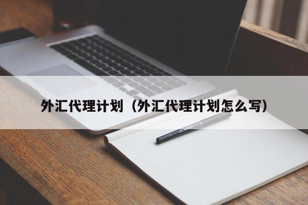 外汇代理计划（外汇代理计划怎么写）