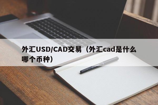 外汇USD/CAD交易（外汇cad是什么哪个币种）
