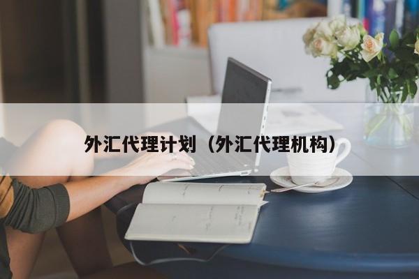 外汇代理计划（外汇代理机构）