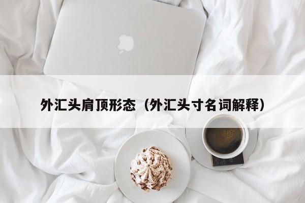 外汇头肩顶形态（外汇头寸名词解释）