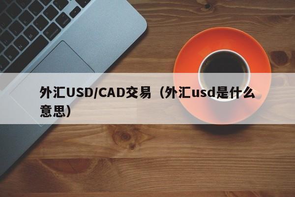 外汇USD/CAD交易（外汇usd是什么意思）