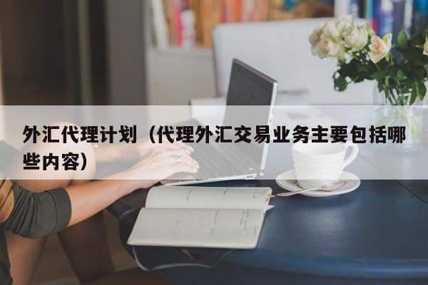 外汇代理计划（代理外汇交易业务主要包括哪些内容）