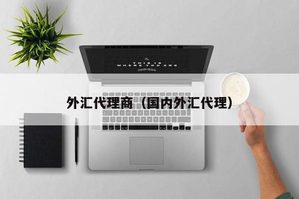 外汇代理商（国内外汇代理）